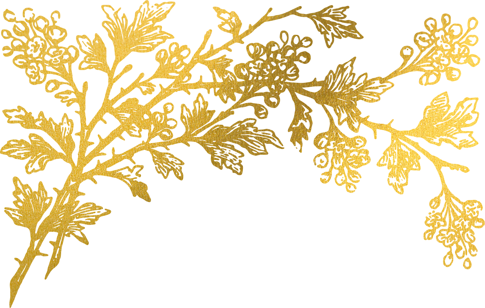 Gold Flora Plant